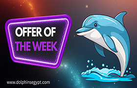 Offer of the Week